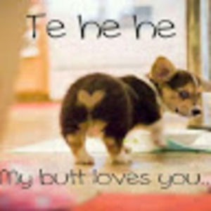 Meet your Posher, Kristine